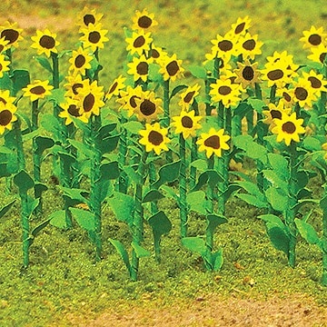 JTT Sunflowers